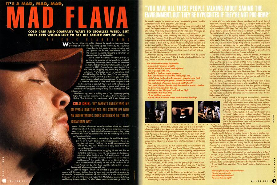 IT'S A MAD, MAD, MAD, MAD FLAVA