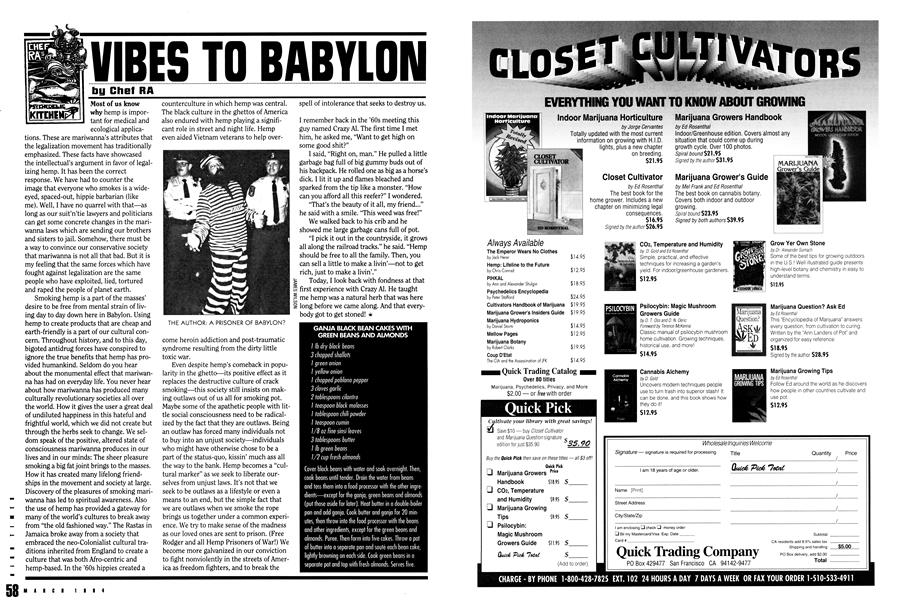 VIBES TO BABYLON