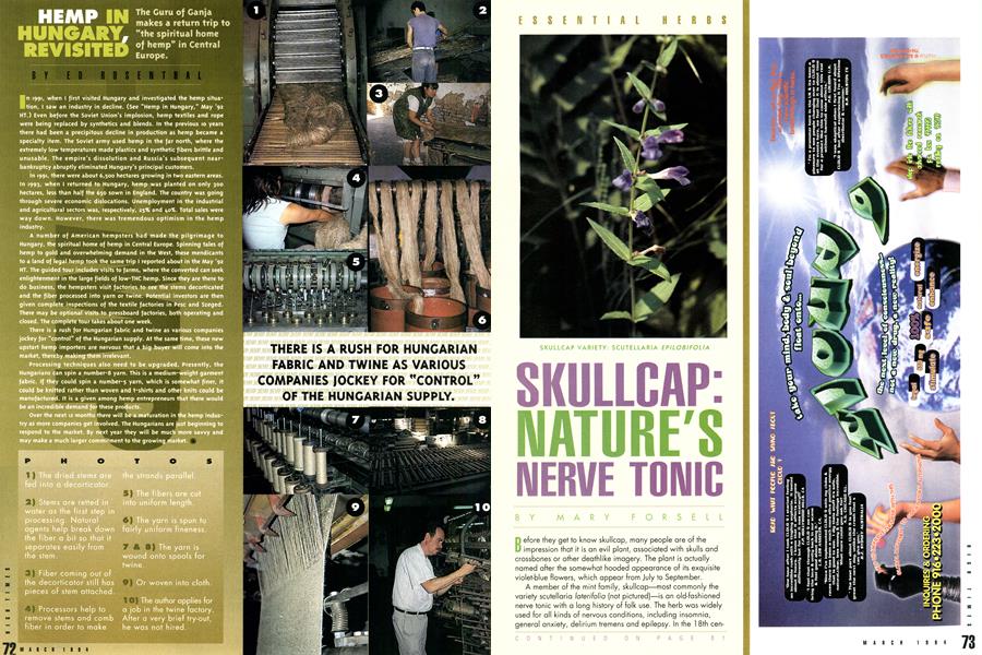 HEMP IN HUNGARY, REVISITED