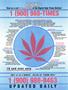 Page: - 3 | High Times