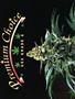 Page: - 42 | High Times