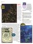 Page: - 72 | High Times