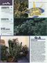 Page: - 74 | High Times