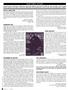 Page: - 8 | High Times