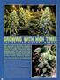 Page: - 68 | High Times