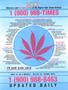 Page: - 3 | High Times