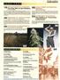 Page: - 4 | High Times