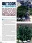 Page: - 40 | High Times