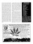 Page: - 69 | High Times