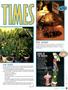 Page: - 71 | High Times