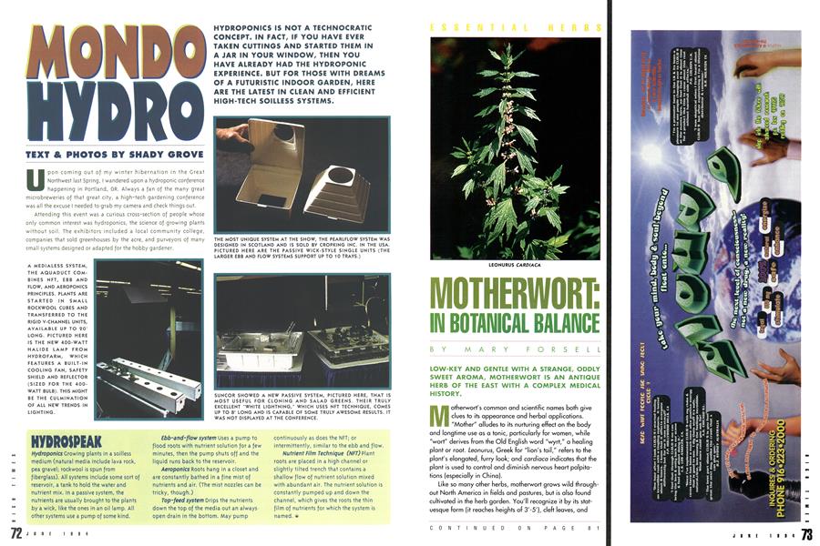 MOTHERWORT: IN BOTANICAL BALANCE