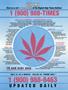 Page: - 3 | High Times