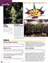 Page: - 72 | High Times