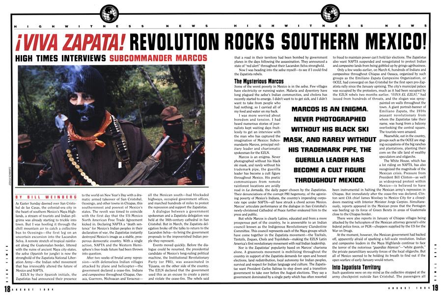 ¡VIVA ZAPATA! REVOLUTION ROCKS SOUTHERN MEXICO!