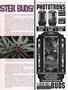 Page: - 79 | High Times