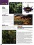 Page: - 84 | High Times