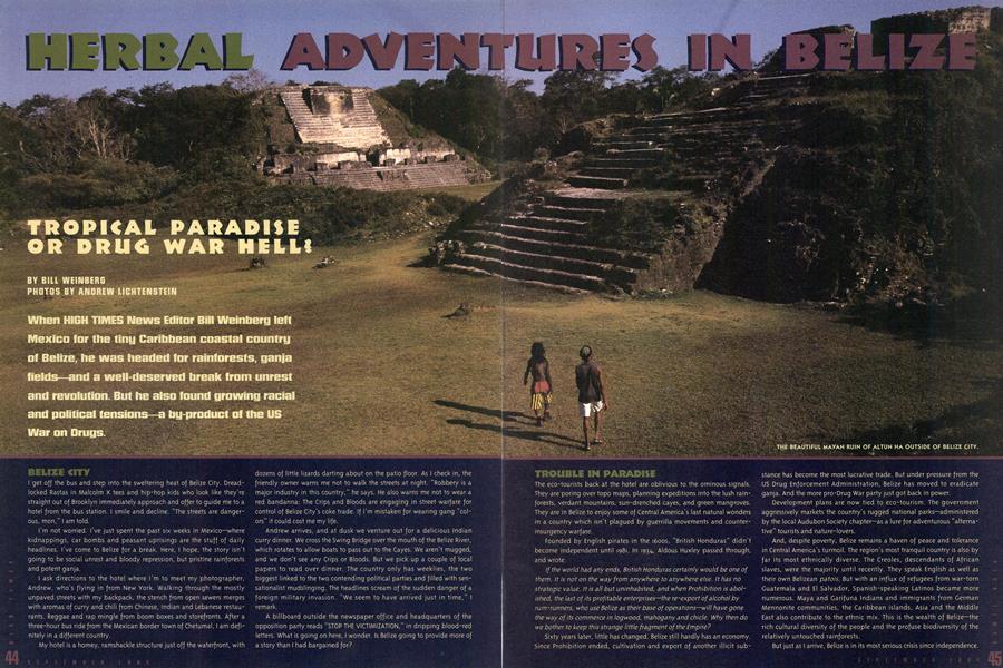 HERBAL ADVENTURES IN BELIZE