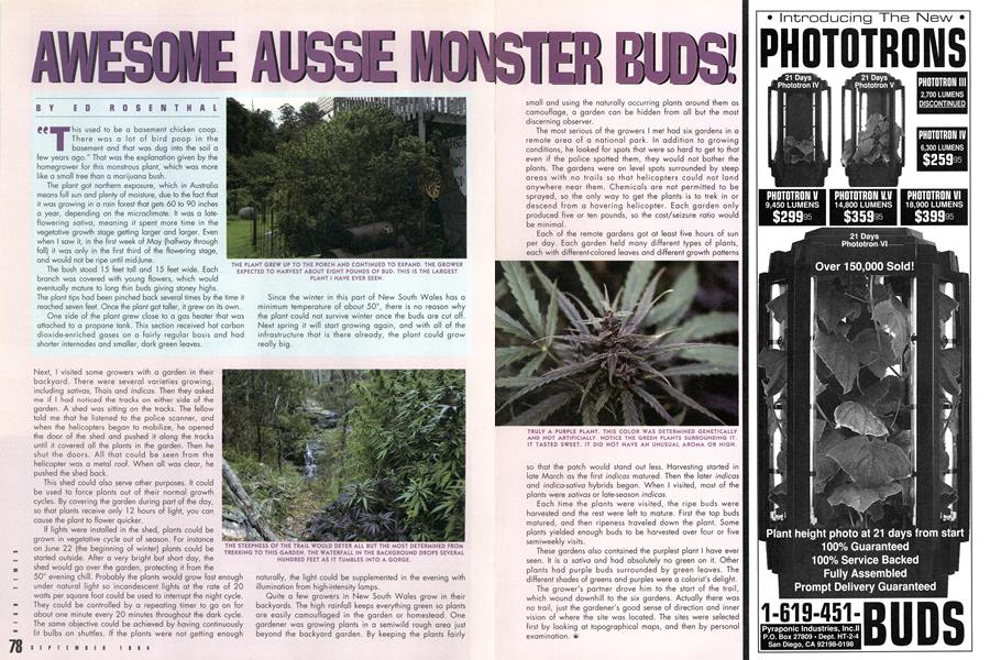 AWESOME AUSSIE MONSTER BUDS!