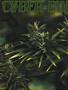 Page: - 50 | High Times