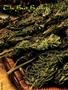 Page: - 50 | High Times