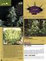 Page: - 84 | High Times