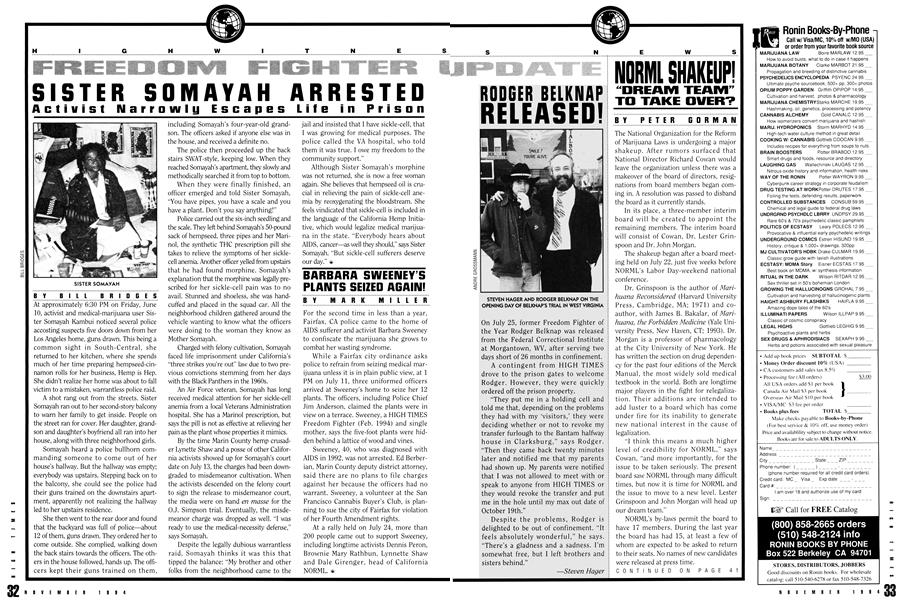 NORML SHAKEUP! "DREAM TEAM" TO TAKE OVER?
