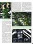 Page: - 45 | High Times
