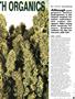 Page: - 47 | High Times
