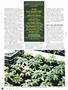 Page: - 48 | High Times