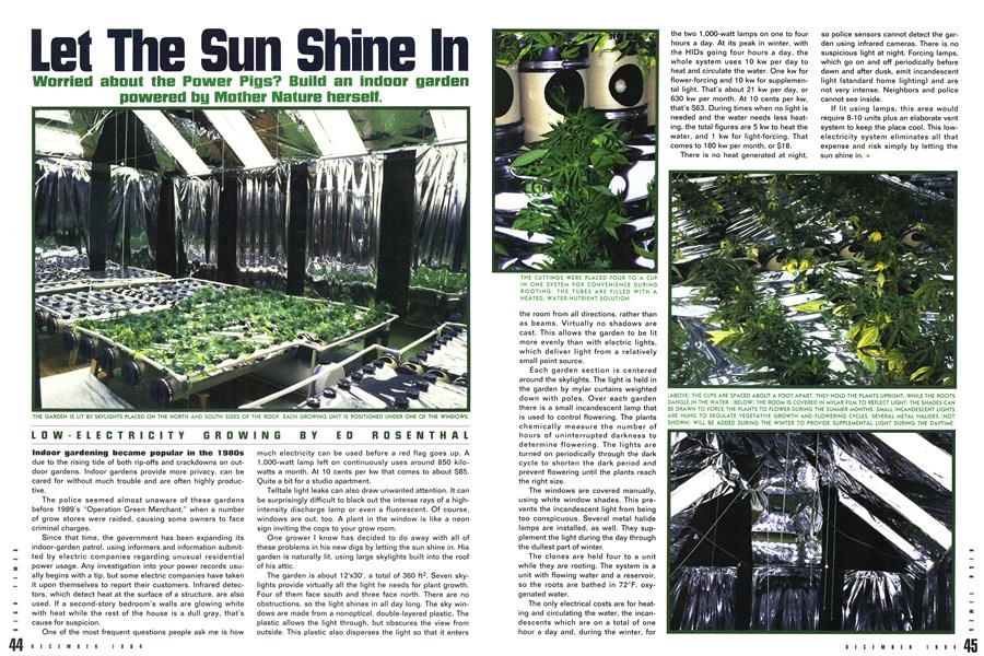 Let The Sun Shine In