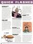 Page: - 14 | High Times