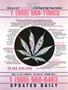Page: - 3 | High Times