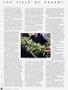 Page: - 52 | High Times