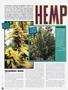 Page: - 76 | High Times