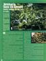 Page: - 78 | High Times