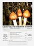 Page: - 81 | High Times