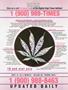 Page: - 3 | High Times