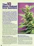 Page: - 78 | High Times