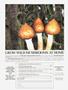 Page: - 81 | High Times