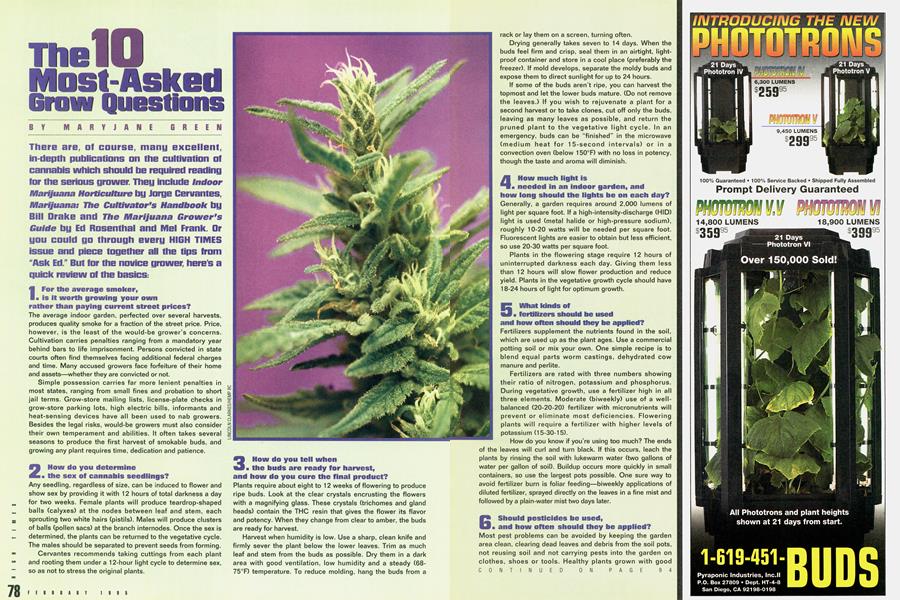 The 10 Most-Asked Grow Questions