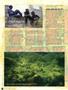 Page: - 46 | High Times