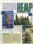 Page: - 76 | High Times