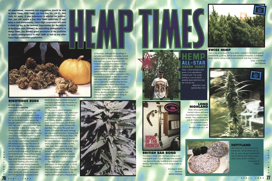 HEMP TIMES