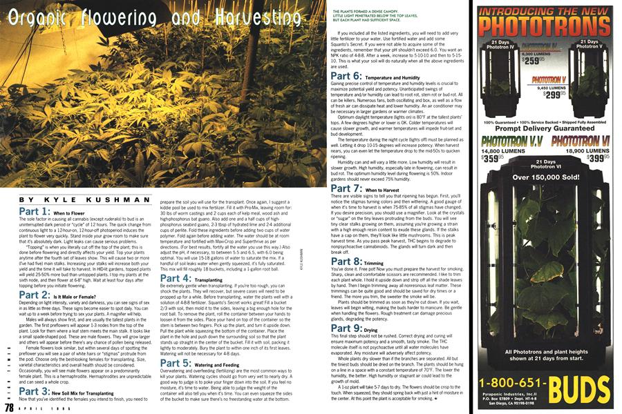 Organic Flowering and Harvesting