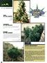 Page: - 80 | High Times