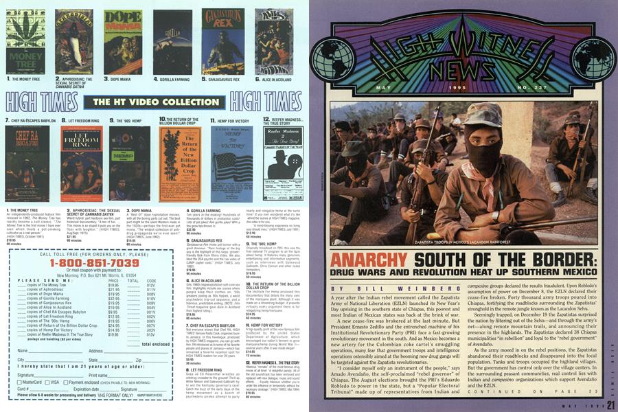 ANARCHY SOUTH OF THE BORDER