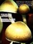 Page: - 75 | High Times
