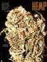 Page: - 76 | High Times