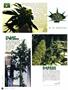 Page: - 80 | High Times
