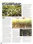 Page: - 82 | High Times